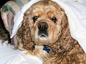 mary8348m's profile picture. 