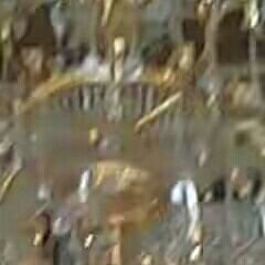 Zaigood3's profile picture. 