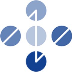 Nokia Foundation Profile