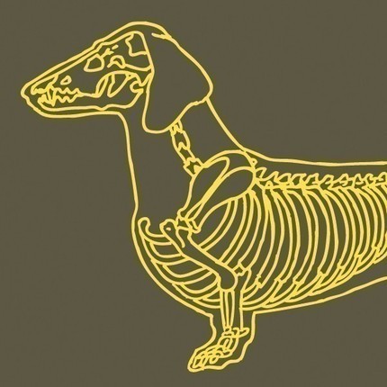 odiled's profile picture. Archivist, Researcher, Digital Curation