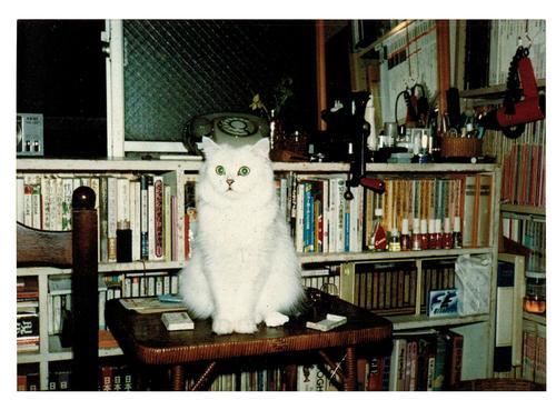 psytama's profile picture. お天道様が見ている。差別のない社会に。Ｘで色々勉強中、目が少々不自由なので賛同する方へのレスぐらいしかできません。