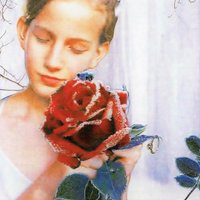 合田ノブヨ (@goda_nobuyo) 's Twitter Profile Photo