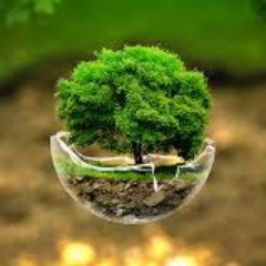 telailia_zouhir's profile picture. 