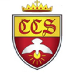Castlerea CS Profile