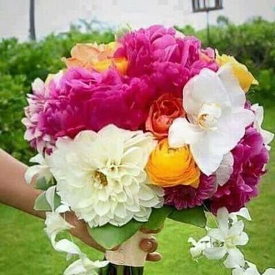 ‏‏عشق الصمت شيخه النفس والتعبير للروح