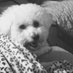 sandra herman (@sandrah52413837) Twitter profile photo sandra herman (@sandrah52413837) Twitter profile photo