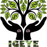 Igeye Scheme(@IgeyeScheme) 's Twitter Profile Photo