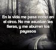 SeNosMurioPonce's profile picture. Si estábamos JODIDOS... Ahora, vamos de mal en PEOR.