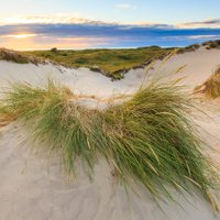 Bescherm de kust (@beschermdekust) 's Twitter Profile Photo Bescherm de kust (@beschermdekust) 's Twitter Profile Photo