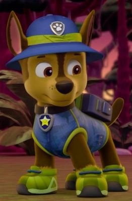 hello chase here im a police pup on pawpatrol and keep adventure bay safe my sexy girlfriend @everestcutie [ https://t.co/BSV80TYOw0 ]