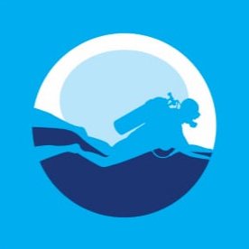 DIVING MANAGER WEBSITE 100% focused on scuba diving and dive points. Search like never before https://t.co/vhciNY0phs