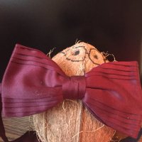 Colin Coconut (@coconut_colin) 's Twitter Profile