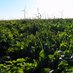Iowa Seed Corn (@iowaseedwqi) Twitter profile photo Iowa Seed Corn (@iowaseedwqi) Twitter profile photo