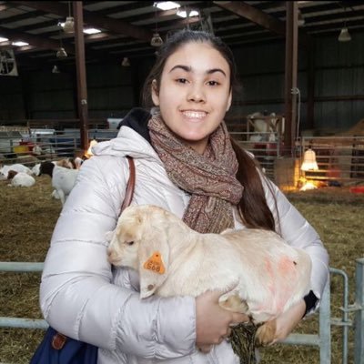 emergencyvingar's profile picture. $EricalikeAmerica