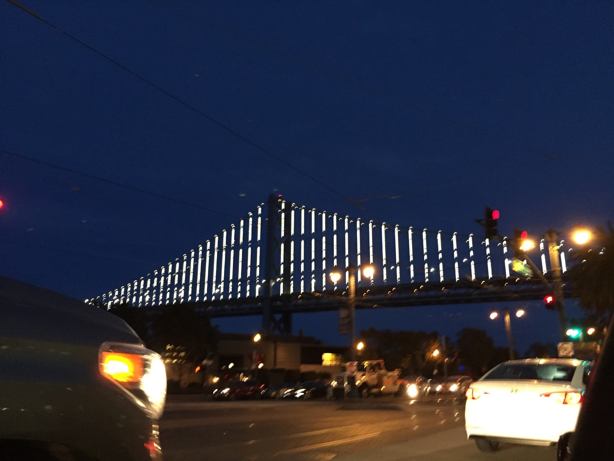 GeniveKitty's profile picture. SHOPKINS LOVER adopted tiny hafe cat hafe human wild at heart ❤️ 😎😻