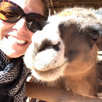 MsBarsalou's profile picture. Teacher, world traveller, ML advocate, wellness warrior, and owner of the cutest French bulldog