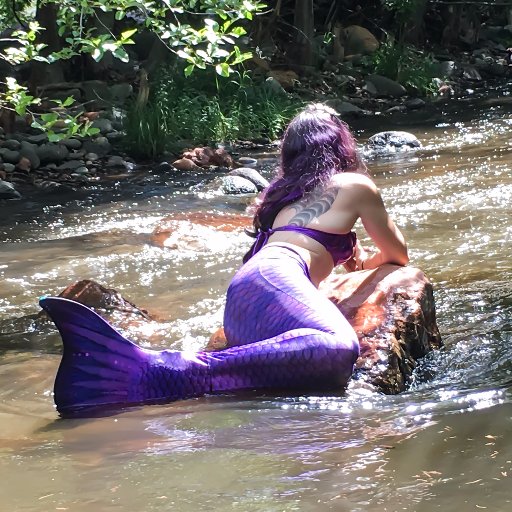 CLVivers's profile picture. 