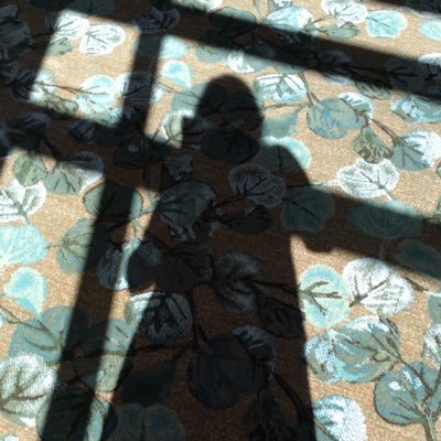 Conseillère Service recherche et création @UQAM. Spécialiste de la représentation de la ville; commissaire arts pop +hypermédiatique.