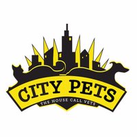 Dr. Amy (@dramycitypets) 's Twitter Profile