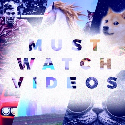 Must_Watch_Vids's profile picture. Daily Best Videos On The Internet