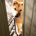 Janet Kim - @janetykim - Twitter