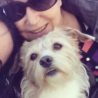 ELFiDE (@elelfide) 's Twitter Profile