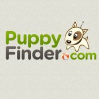 Puppies For Sale (@puppyfindercom) 's Twitter Profile