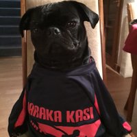 HarakaKasi (@harakakasi) 's Twitter Profile