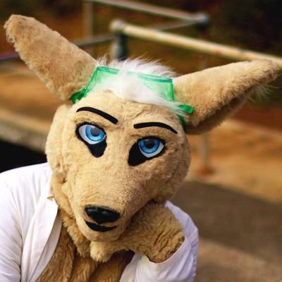 I'm a kangaroo scientist! I typically deal in sexy science and making messes. Watch out for airborne pies. (Often NSFW 🔞)