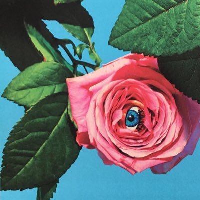 liinspirational's profile picture. follow to discover life