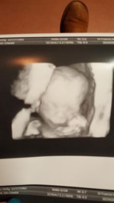 schampagne43's profile picture. 