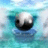 medovd's profile image