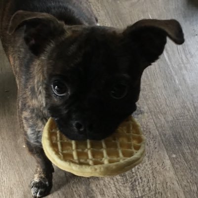 WAFFLEEATER