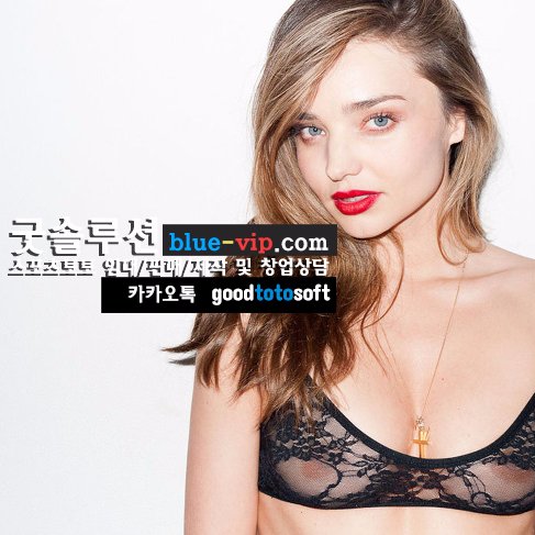 GoodprogramVip's profile picture. 스포츠토토 솔루션 임대 판매 제작 굿솔루션 https://t.co/6r8VIFQpEj