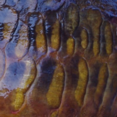 Hillman2Hillman's profile picture. A Lover of scaley dark ones, Man U fan, Resin Bound manufacturer and product technical support.