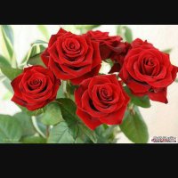 خطابة ام يونس حايل شرعي فقط اتعابي بيوم الملكه (@ramoo2h7) 's Twitter Profile Photo خطابة ام يونس حايل شرعي فقط اتعابي بيوم الملكه (@ramoo2h7) 's Twitter Profile Photo
