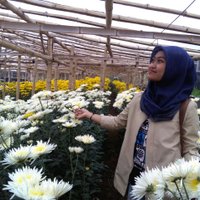 Afifah (@avianada) 's Twitter Profile
