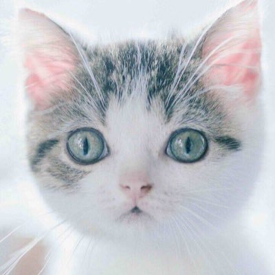 Monamonawill's profile picture. 