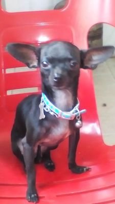 MIGUELOM_9's profile picture. dominio del fuego y los metales orfebre.peluquero.costurero.y cosinero