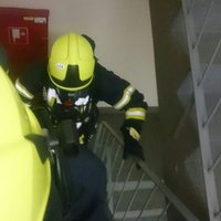 Franz (@franzdillan) Twitter profile photo