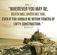 lbdeboss's profile picture. 