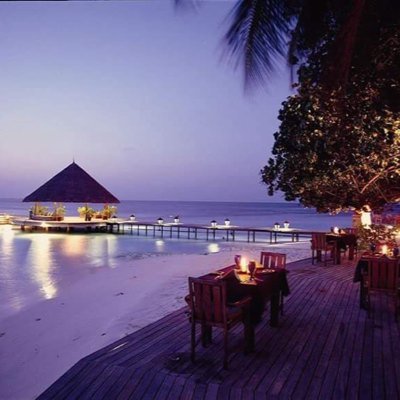 ToTo19303878's profile picture. 