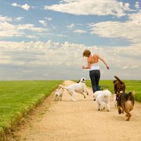 젊은뛰다 (@youngrrrun) 's Twitter Profile