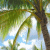 Ethel Belcher - @lovershib - Twitter