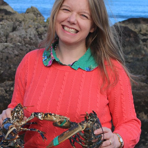 Sustainable Scottish Lobster direct to your door from the team who invented the Award Winning @Lobster_Pod shellfish storage system