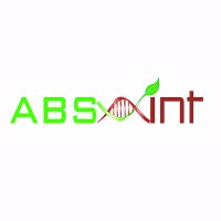 ABSint(@abs_int) 's Twitter Profile Photo