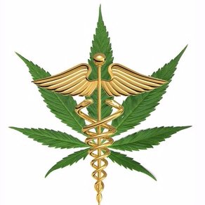 Dedicated to Finding, Ranking and Reviewing the Best Vaporizers for Medical Marijuana, Portable and Desktop
#vape #vaporizers #weed #trees #cannabis #marijuana