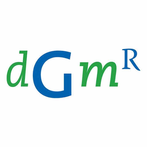 DGMR Adviseurs Profile