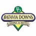 @BataviaDowns