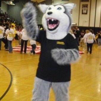 The Huskies represent Hiawatha Elementary School, which is a K-5 building in Sachem Central School District.